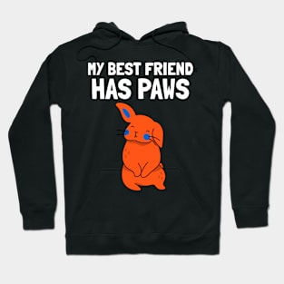 My Best Friend Has Paws Rabbit Hoodie